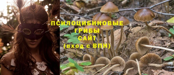 прущие крисы Куйбышев
