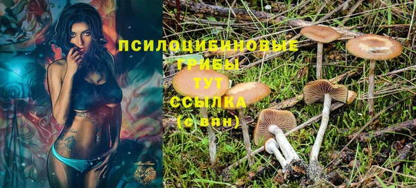 прущие крисы Куйбышев